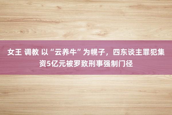 女王 调教 以“云养牛”为幌子，四东谈主罪犯集资5亿元被罗致刑事强制门径