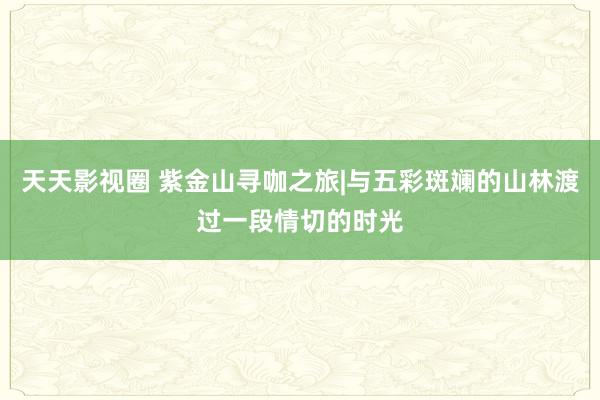 天天影视圈 紫金山寻咖之旅|与五彩斑斓的山林渡过一段情切的时光
