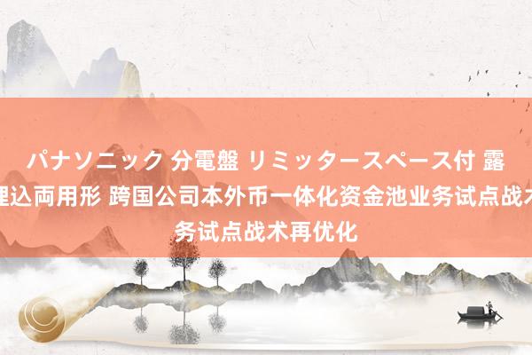 パナソニック 分電盤 リミッタースペース付 露出・半埋込両用形 跨国公司本外币一体化资金池业务试点战术再优化