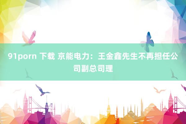 91porn 下载 京能电力：王金鑫先生不再担任公司副总司理