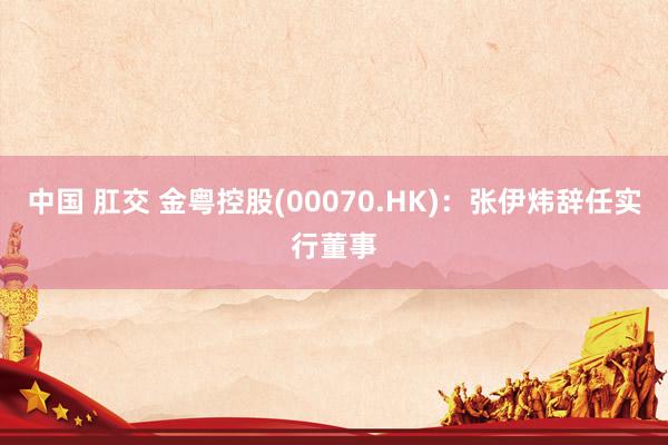 中国 肛交 金粤控股(00070.HK)：张伊炜辞任实行董事